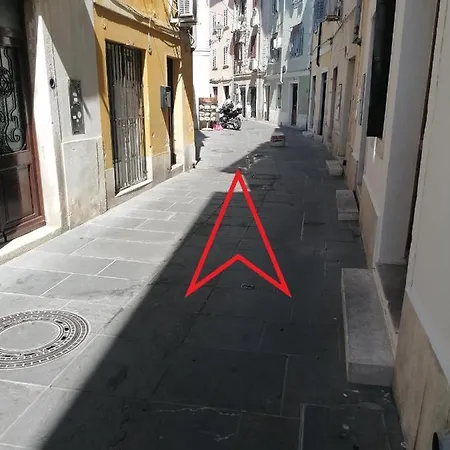 Gg Art Ii * Piran